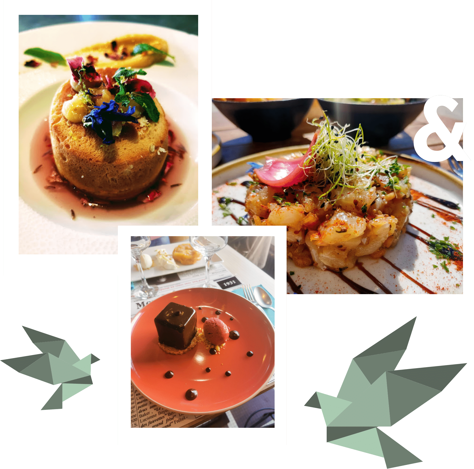 Exemple de plats servis Aux pigeons Blancs